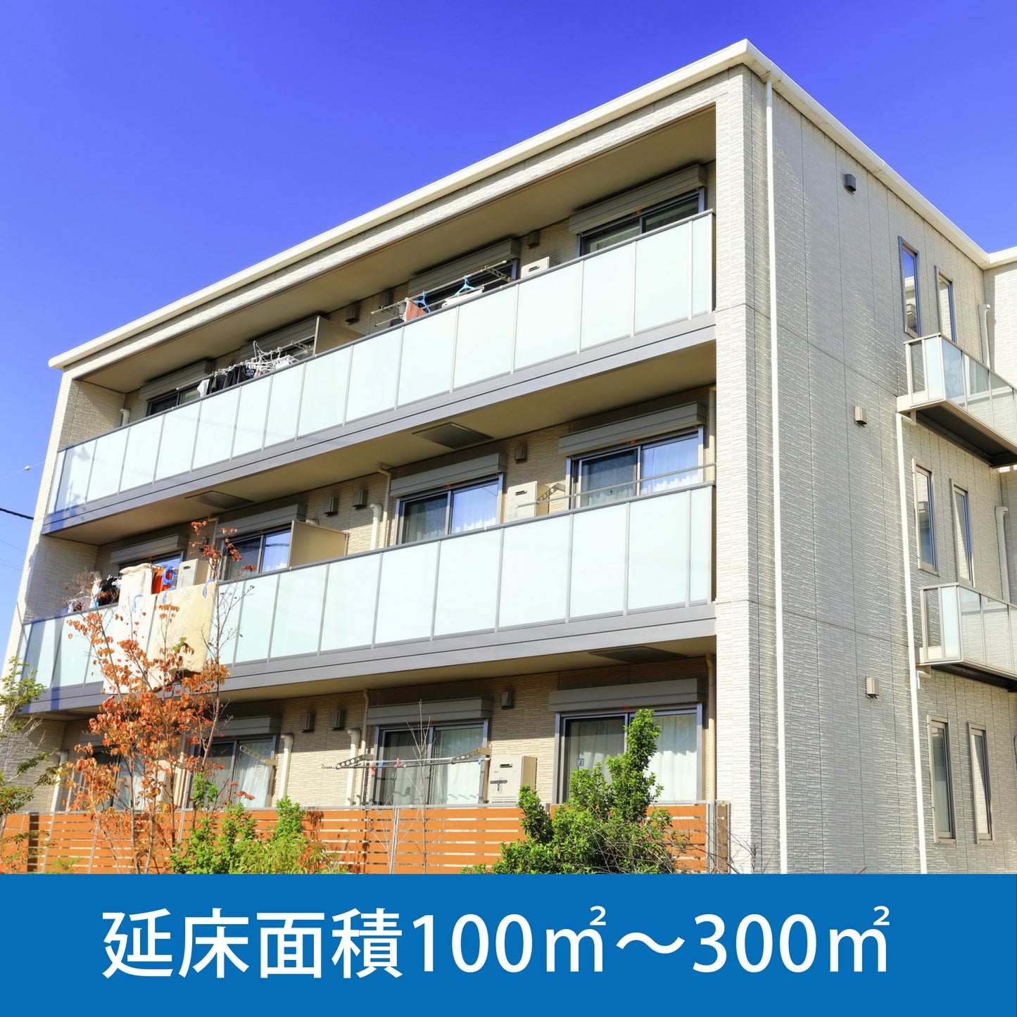 現地調査+分析調査 延床面積 100㎡~300㎡